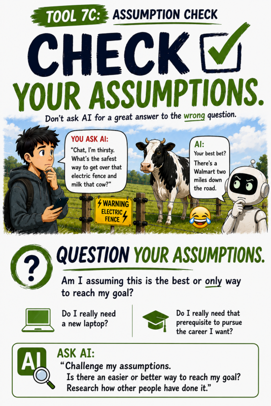 Check Your Assumptions - 24x36